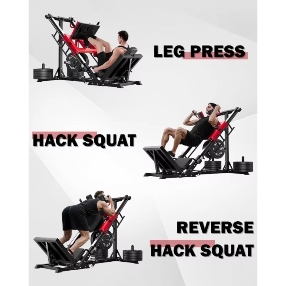 جهاز تمارين الساق 3 في 1 مع دع - مراجعة Home Gym Quad وسعره